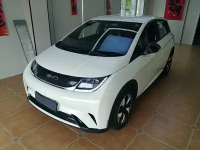 BYD Dolphin