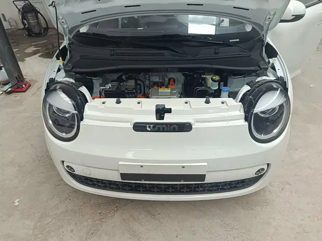 Changan Qiyuan Changan Lumin 2026 2026 Model 205km Treasure Edition