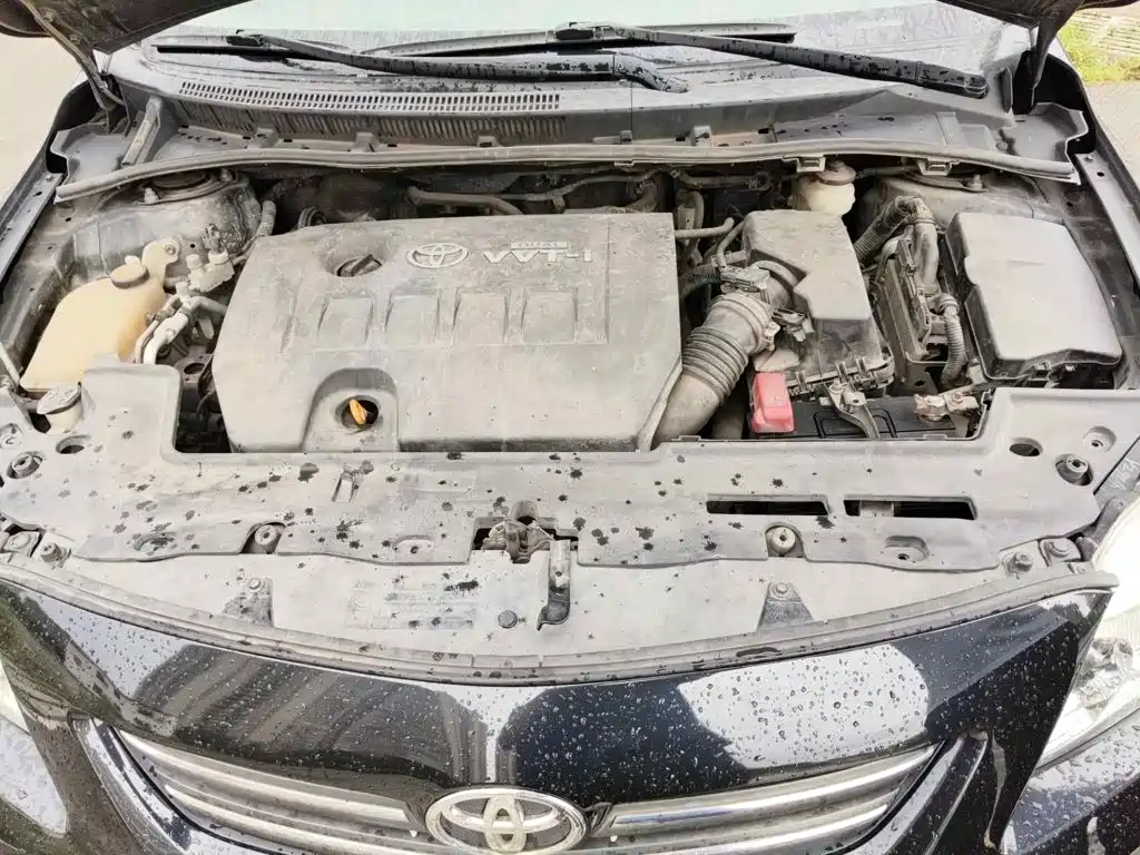 Toyota Corolla 2010 2009 1.6L Automatic GL Sunroof Special Edition