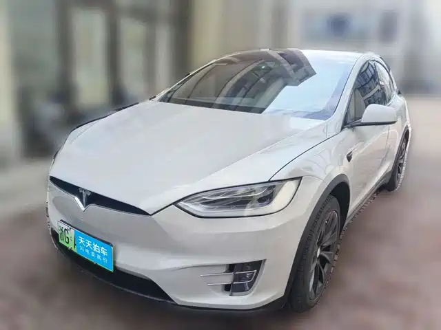 Tesla Model X 2016 Model X 75D — фото 1