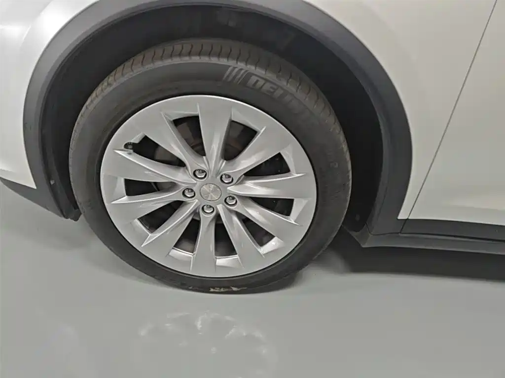 Фото 23 - Tesla Model X