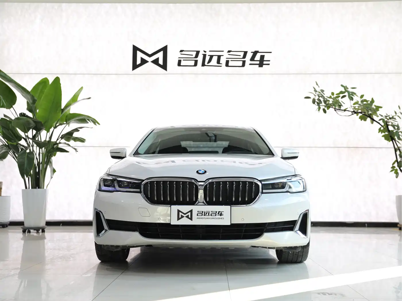 BMW 5 Series 2021 525Li Luxury Package фото 2
