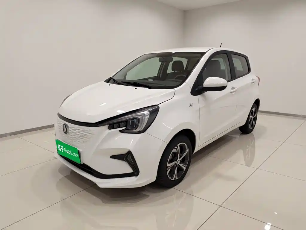Changan Benben E-Star 2021 2020 Heartbeat Edition (NMC Battery)