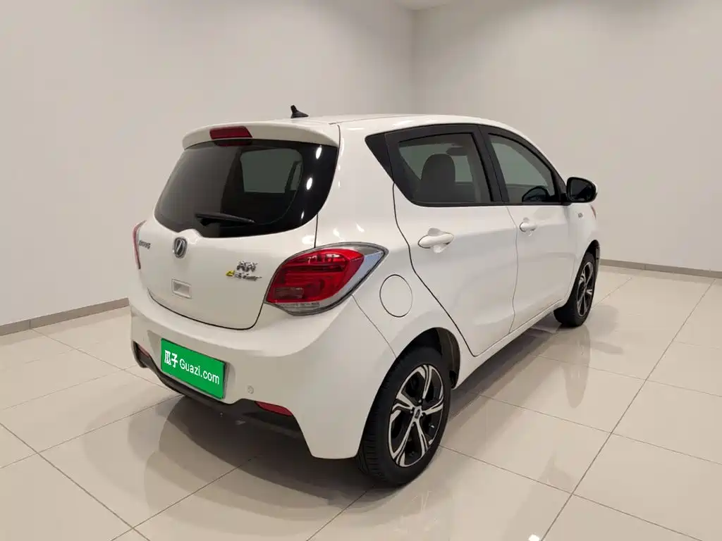 Changan Benben E-Star 2021 2020 Heartbeat Edition (NMC Battery)