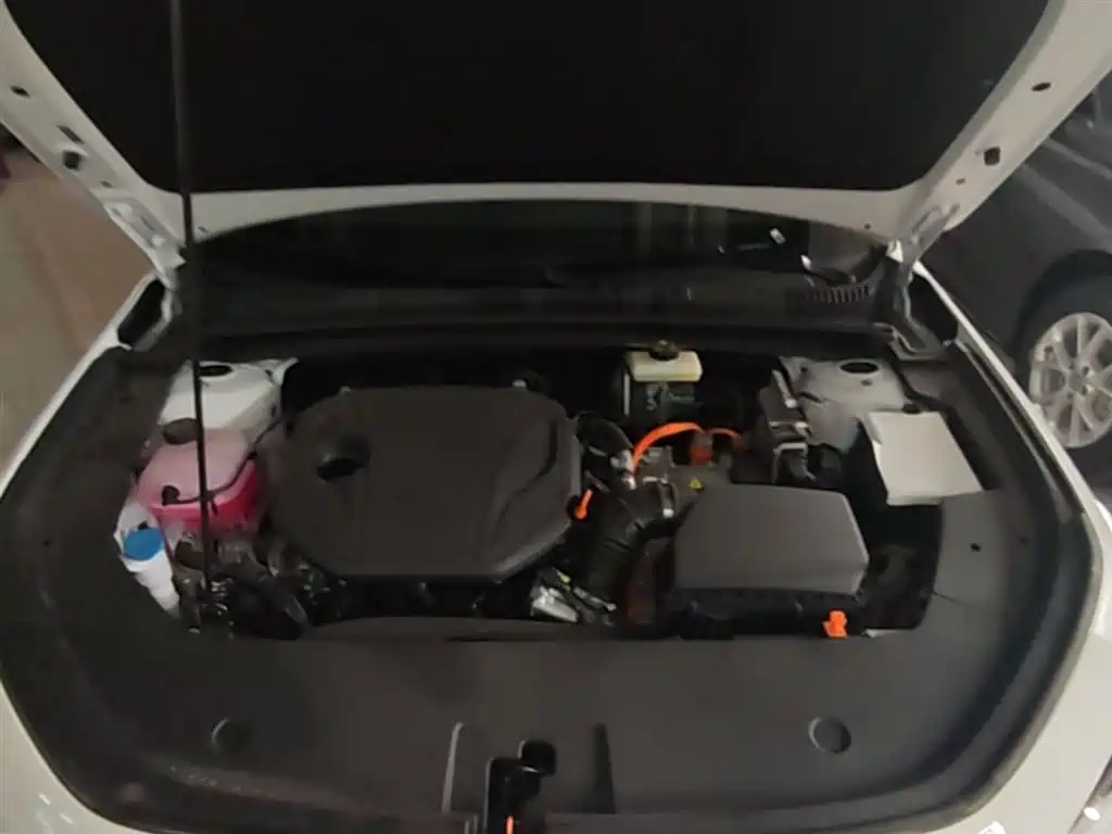 Geely Galaxy Galaxy Stellar 6 2025 125km Long Voyage Edition фото 20