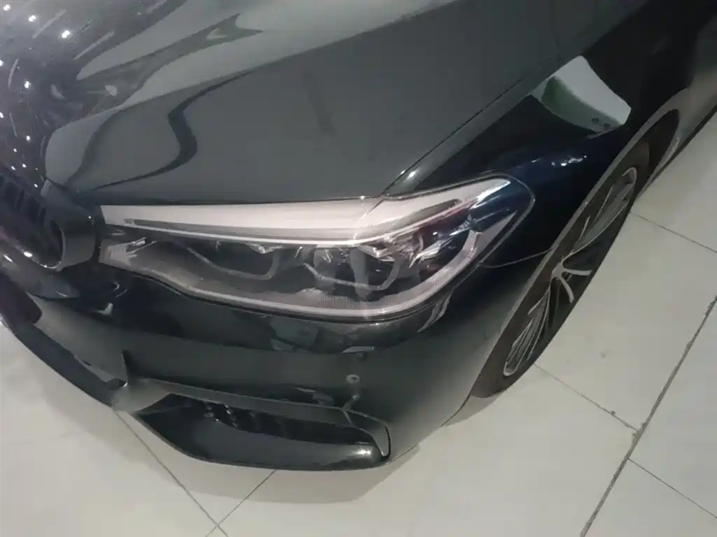 BMW 5 Series 2020 530Li Leading M Sport Package фото 24
