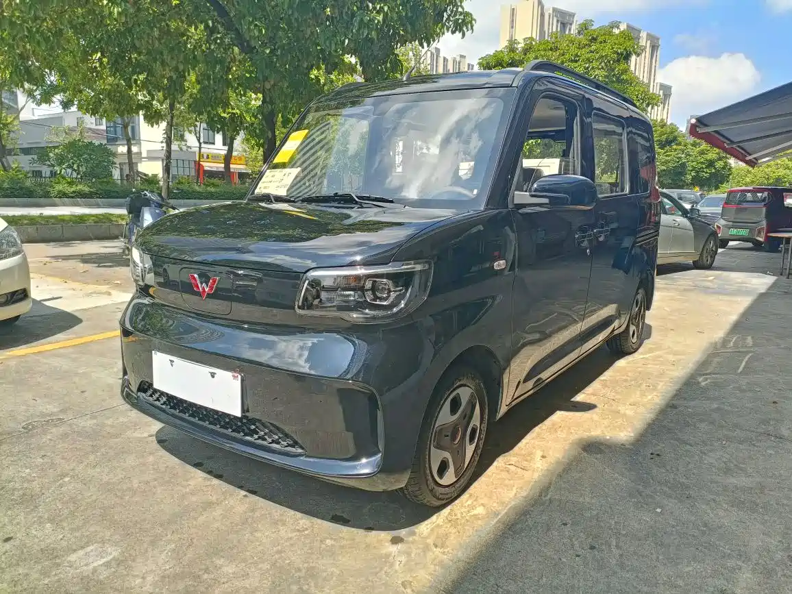 Wuling Motors Wuling Zhiguang NEV 2025 Model 305km Base Version