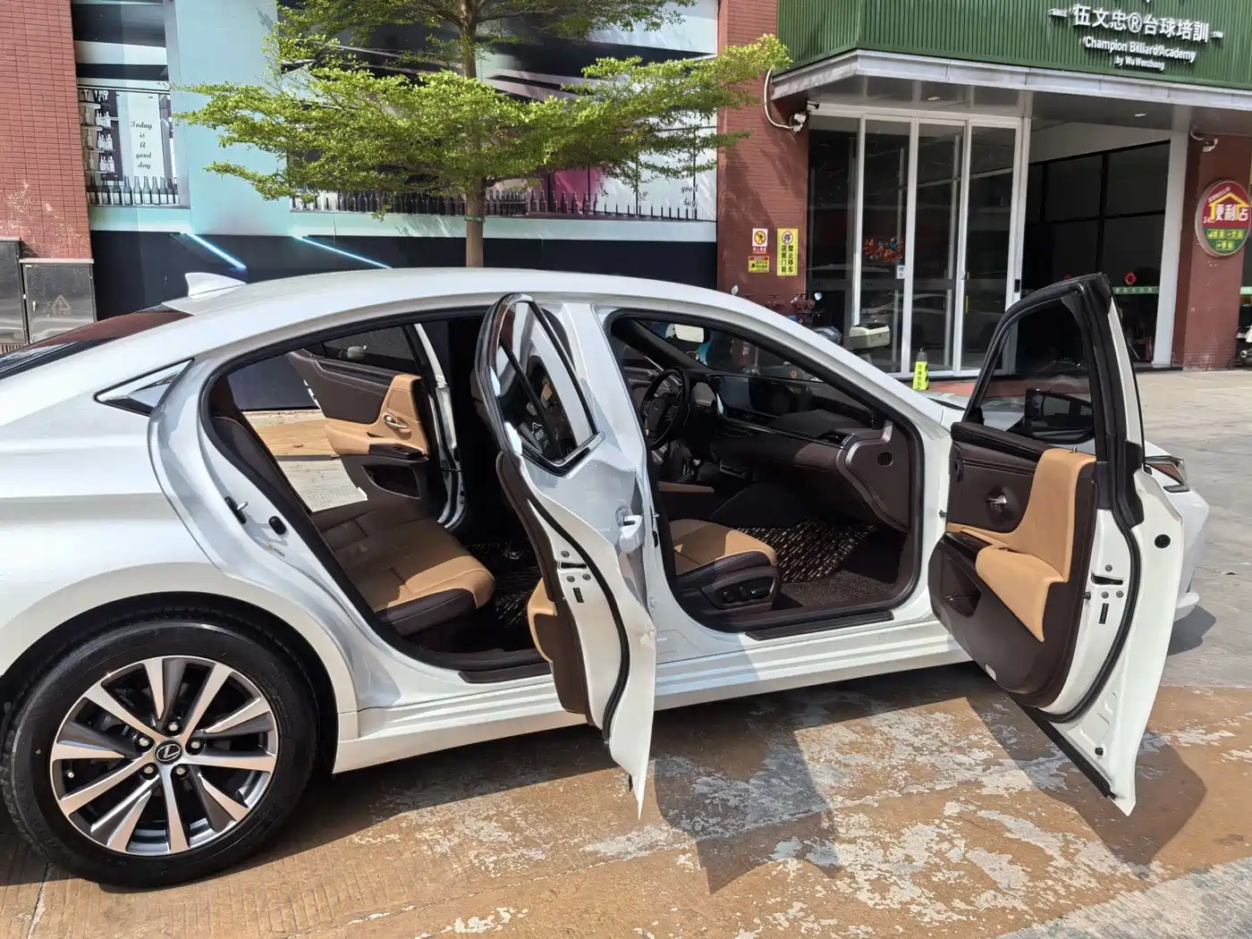 Lexus ES 2020 Model 300h Excellence Edition фото 15
