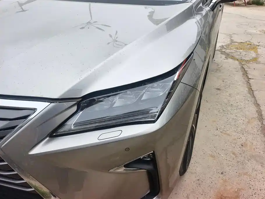 Lexus RX 2016 300 4WD Elegance Edition (China V) фото 5
