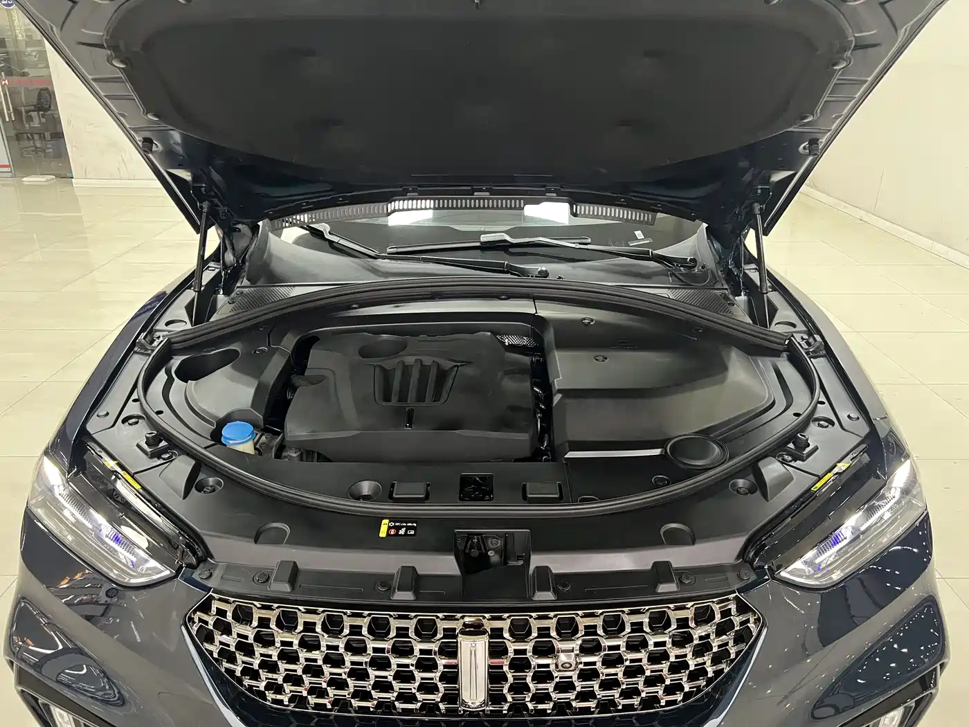 WEI PAI WEI BRAND VV7 GT