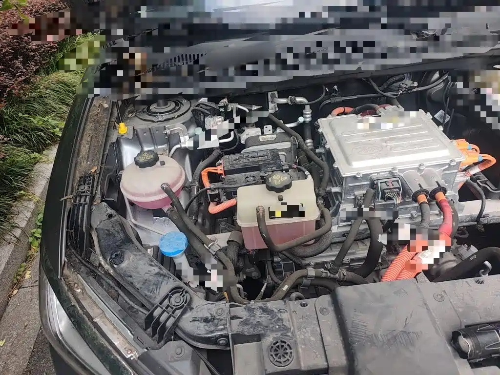 BYD e2 2022 2021 Luxury Edition