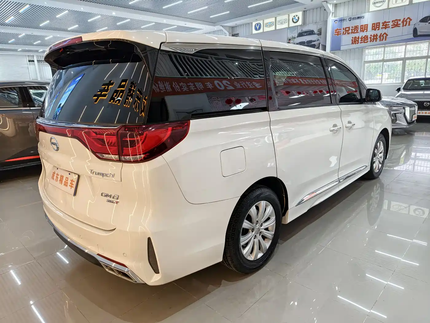 GAC Trumpchi Trumpchi M8 2020 Pilot 390T Premium Edition фото 6