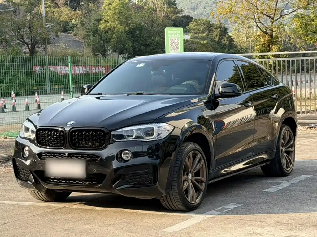 صورة 1 - BMW X6