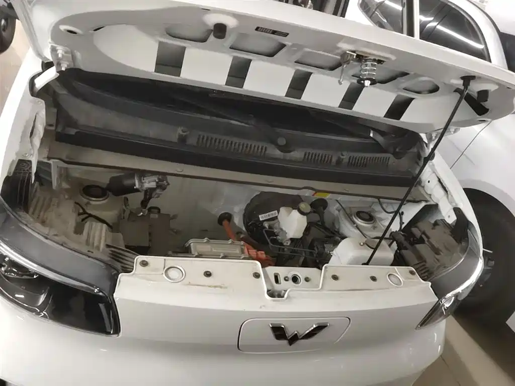 Wuling Motors Wuling Zhiguang NEV 2026 2025 Model 305km Base Version