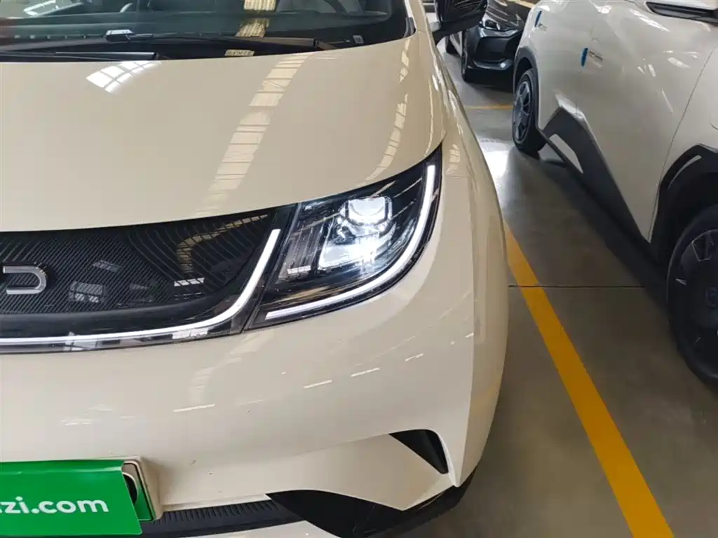 BYD Dolphin 2026 2025 420km Freedom Edition