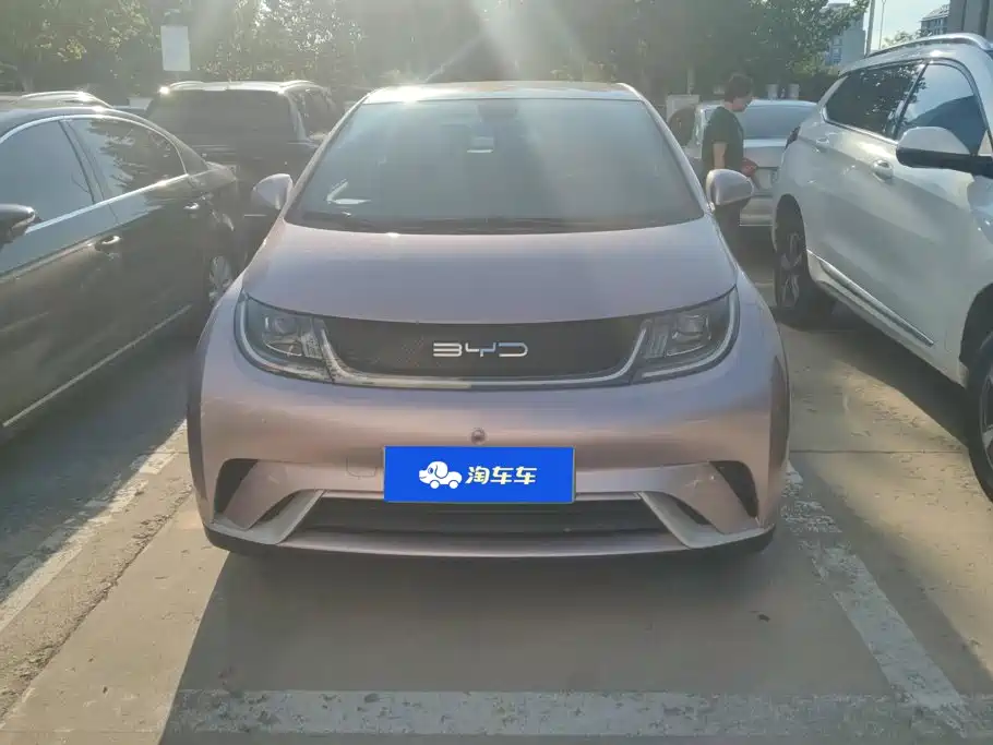 BYD Dolphin 2022 2021 Model 405km Fashion Edition
