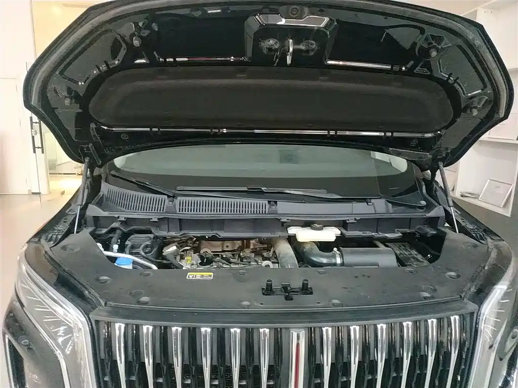 Hongqi HQ9 2023 2.0T Smart Connect Flag Enjoy Edition фото 10