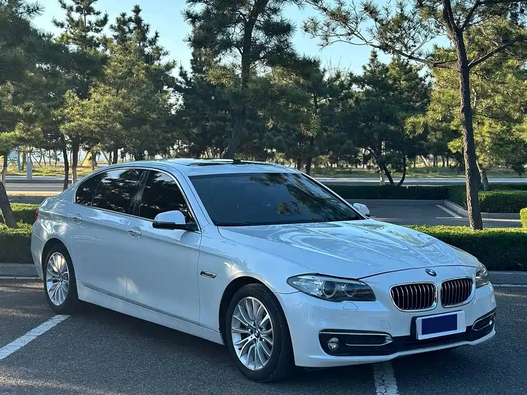 BMW 5 Series 2017 525Li Luxury Design Package фото 2