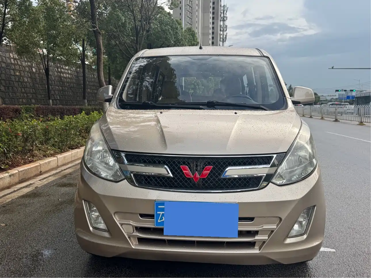 Wuling Motors Wuling Rongguang V 2016 2016 1.5L Standard