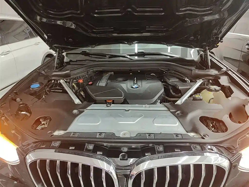 BMW X3 2019 xDrive25i Luxury Package фото 20