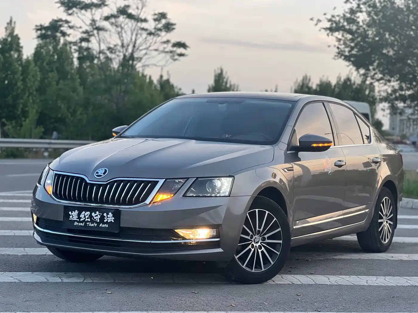 Škoda Octavia 2018 TSI230 DSG Luxury Edition фото 13