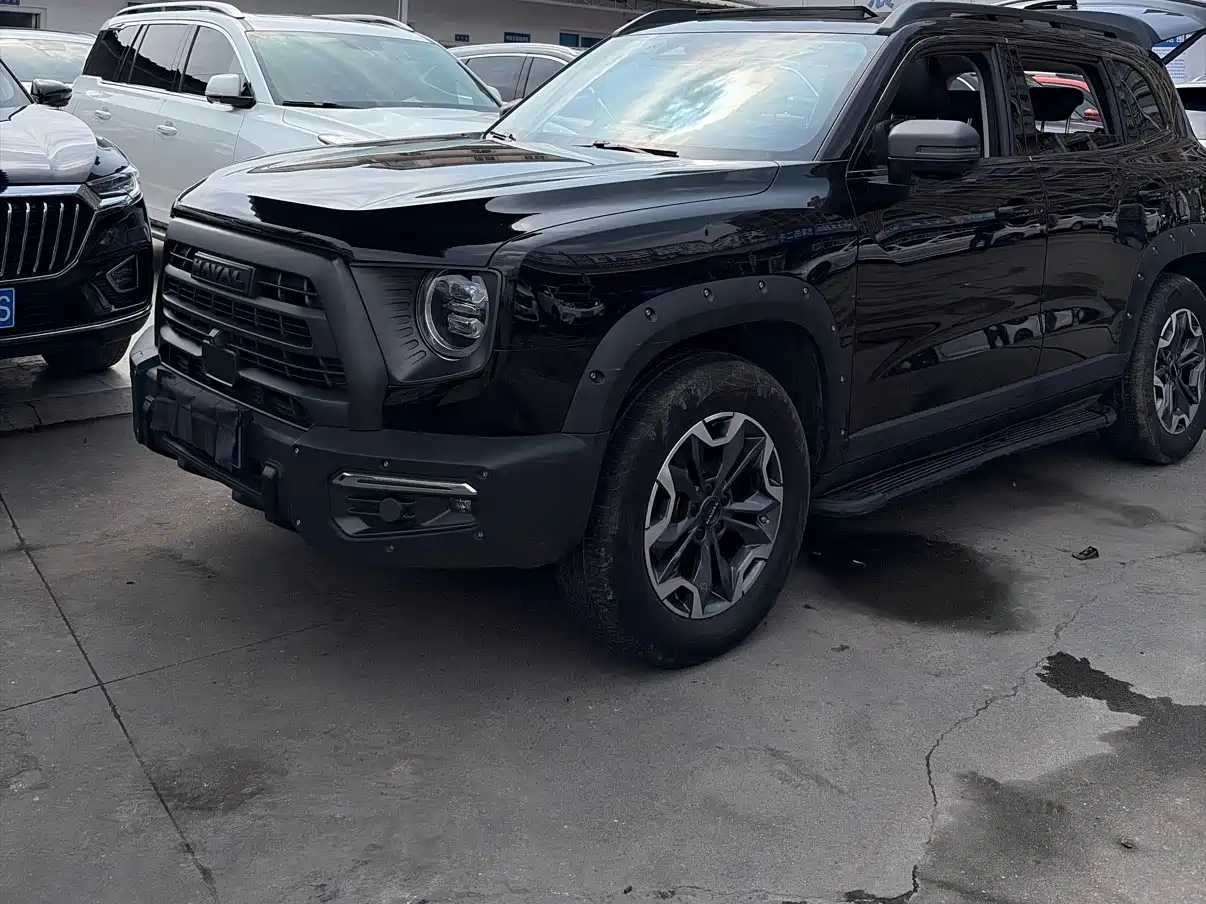 Haval Big Dog 2022 2.0T DCT AWD Chinese Pastoral Dog Edition фото 2