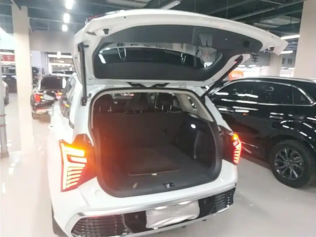 Hongqi HS3 PHEV 2024 PHEV 115km Power Edition фото 19