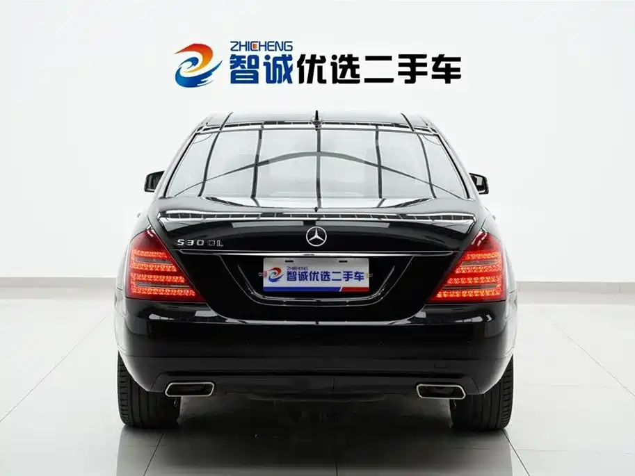 Mercedes-Benz S-Class 2010 S 300 L Luxury фото 5