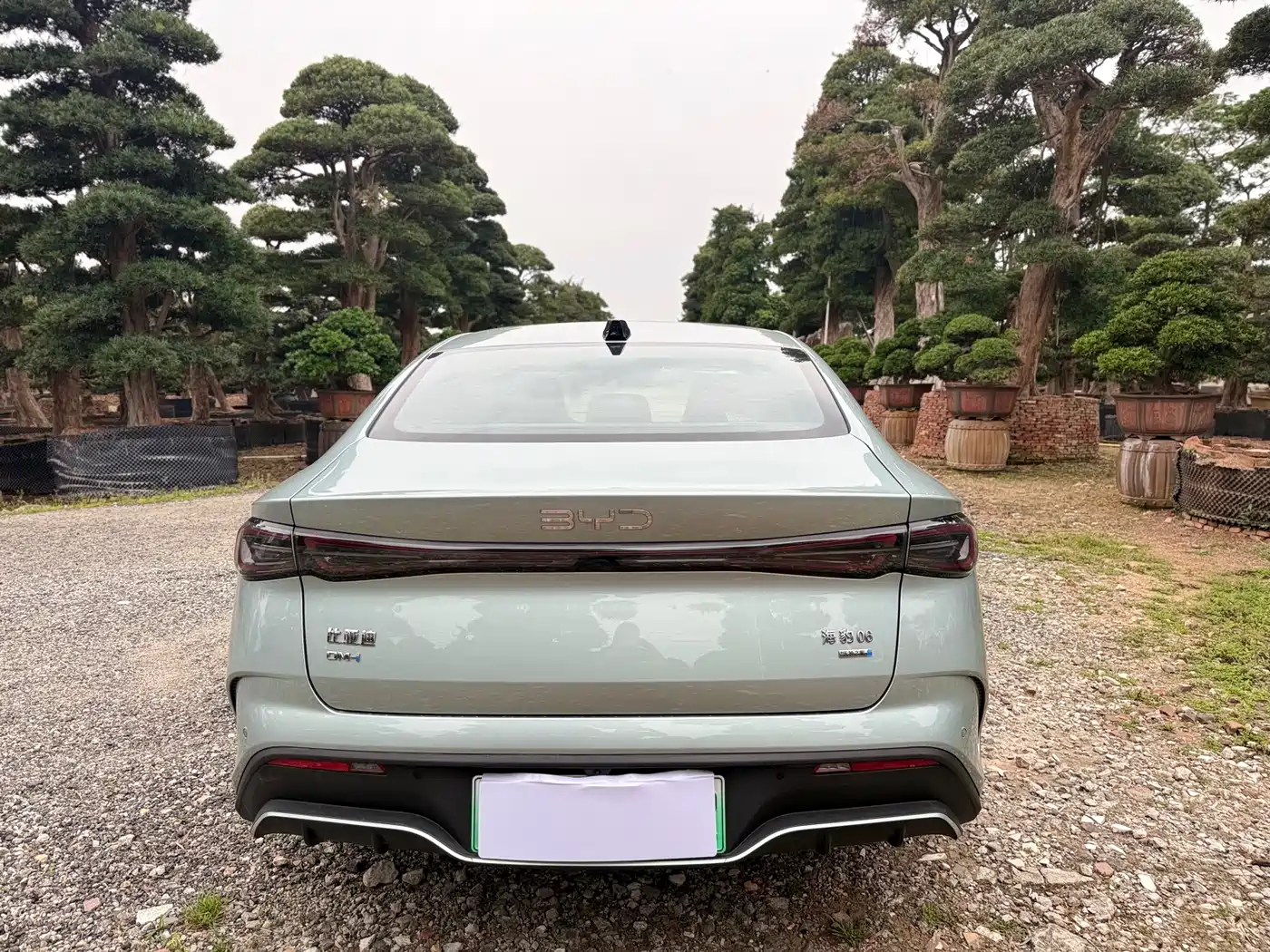 BYD SEAL 06 NEW ENERGY