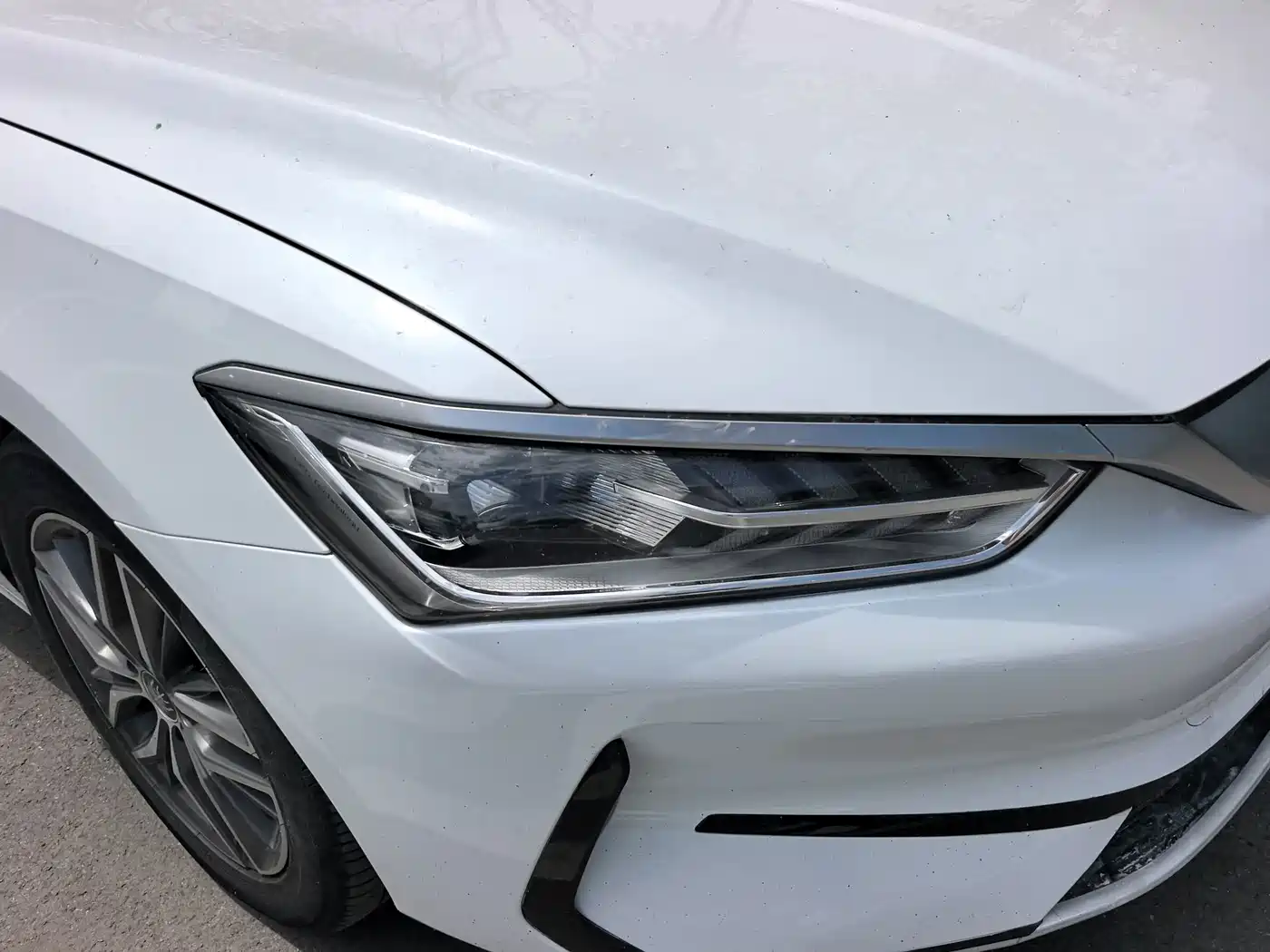 BYD Qin PLUS 2023 Champion Edition EV 510KM Leading Type фото 8