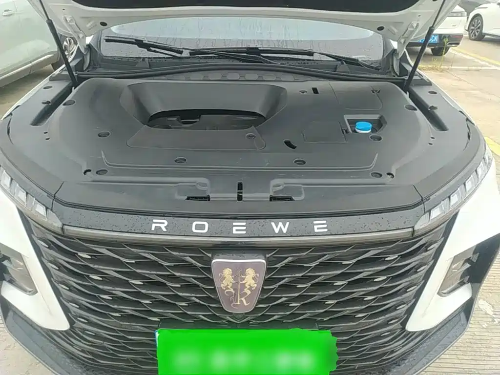 Roewe RX5 MAX 2024 2022 1.5T Auto Promising Luxury Edition