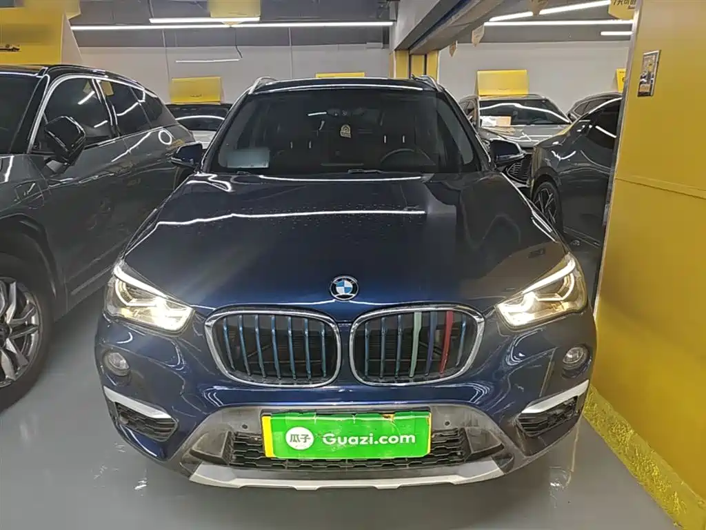 BMW X1 New Energy 2019 xDrive25Le Range Upgrade Edition фото 3