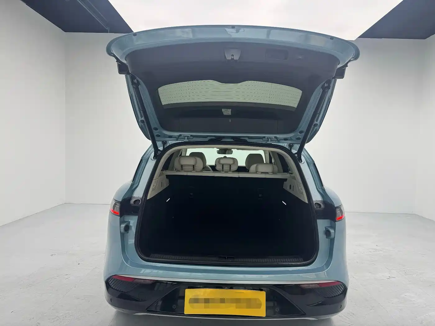 Voyah Auto VOYAH FREE 2021 AWD Standard Range Extender Exclusive Luxury Package фото 8