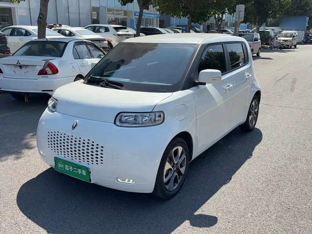 Ora White Cat 2021 2022 Upgraded 305km Luxury (NMC)
