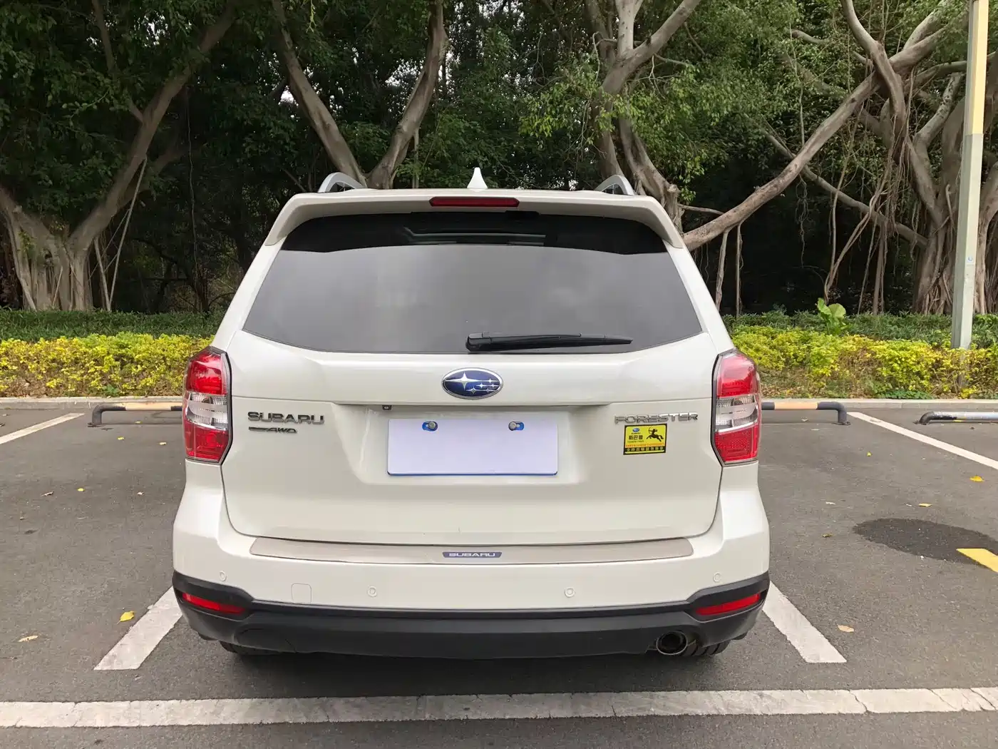 Subaru Forester 2013 2.5i Automatic Premium Edition фото 5