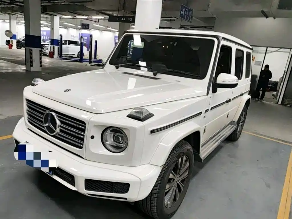Mercedes-Benz G-Class 2019 G 500 фото 11