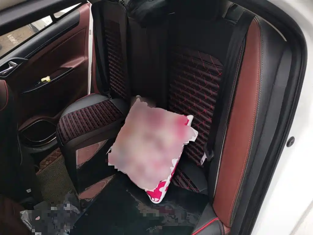 BYD Surui 2015 Facelift 1.5L Auto Luxury фото 14