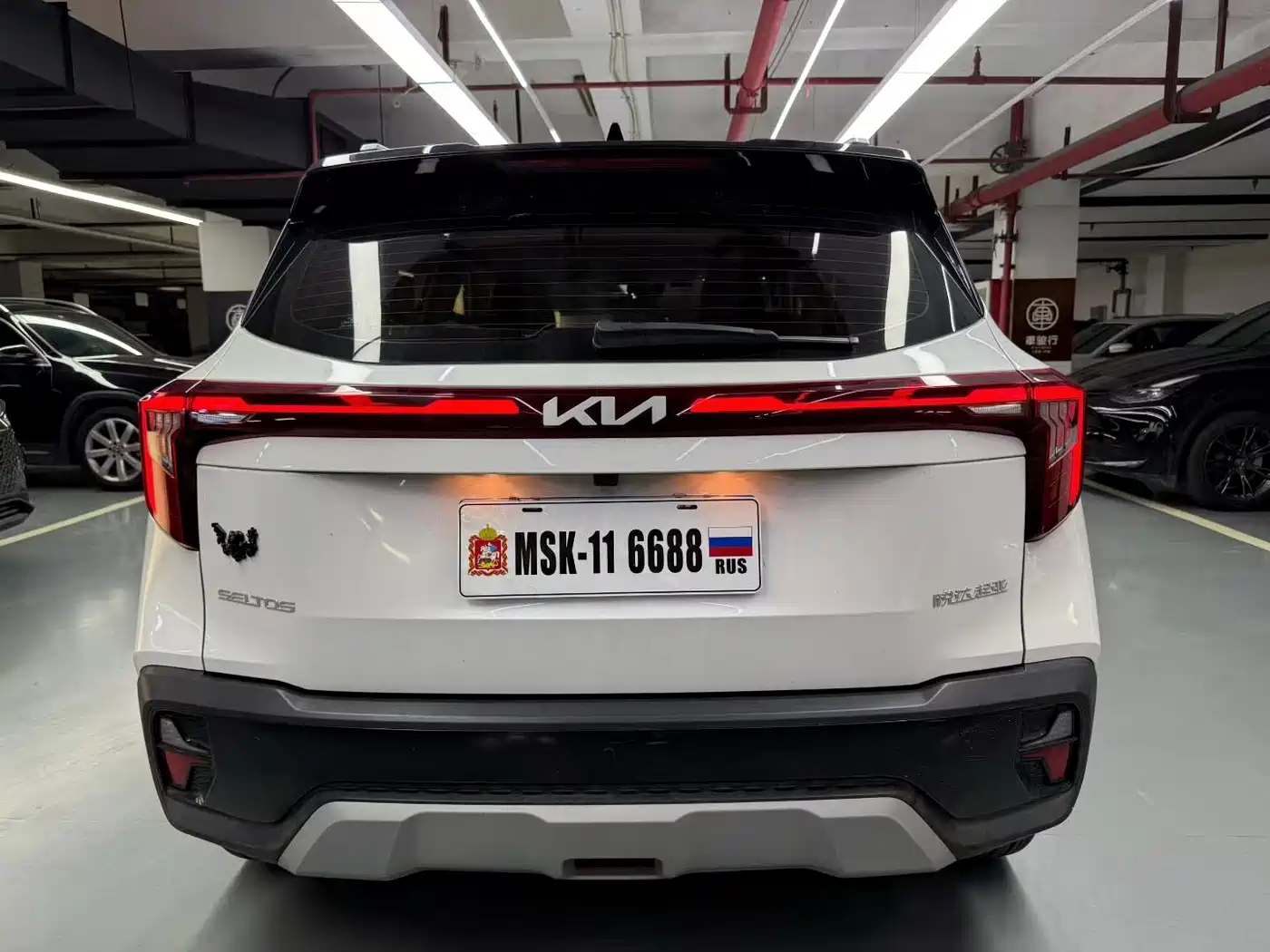 Kia Seltos 2024 2023 1.5L CVT Premium Edition