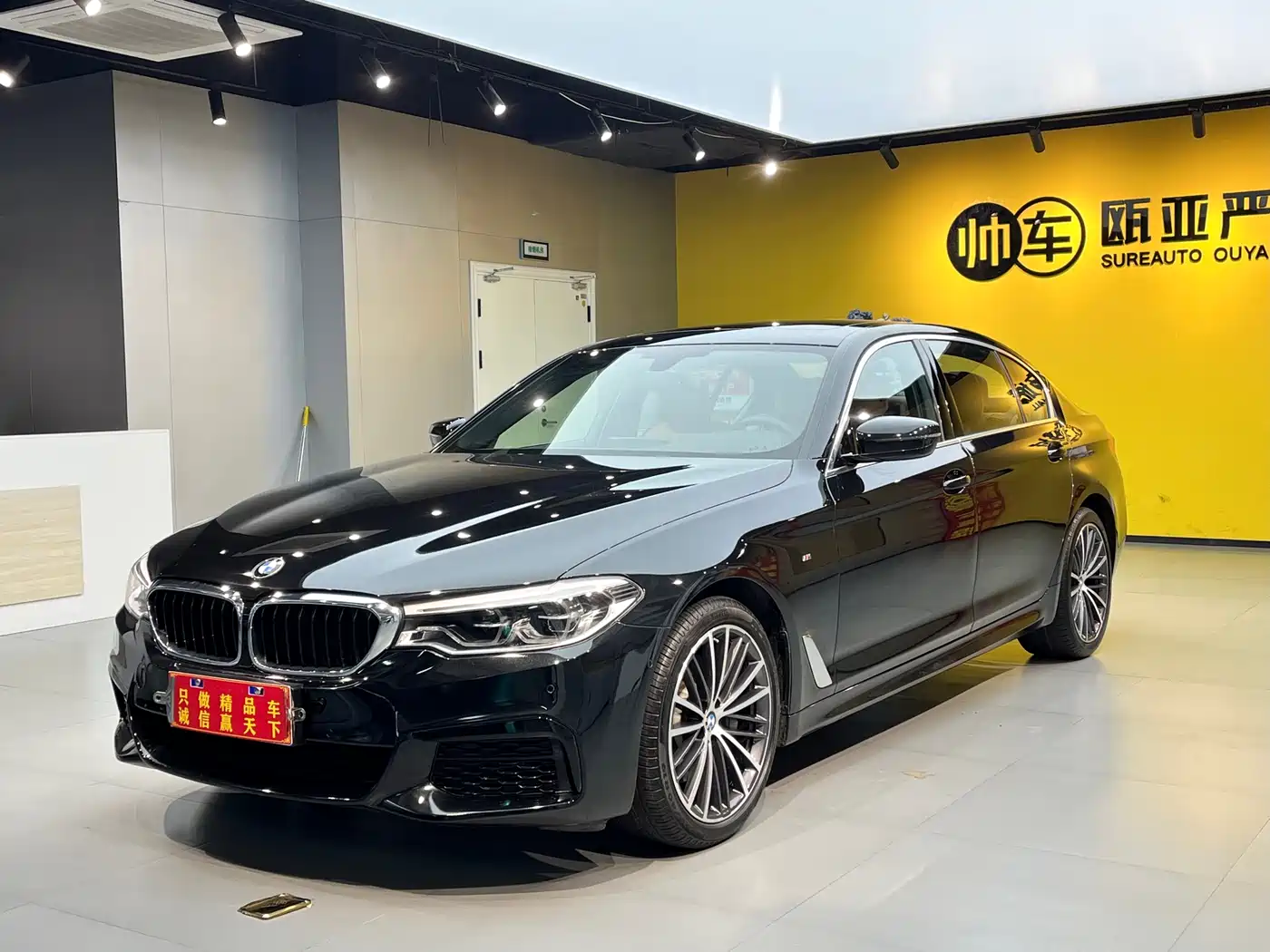 BMW 5 Series 2020 530Li Leading M Sport Package