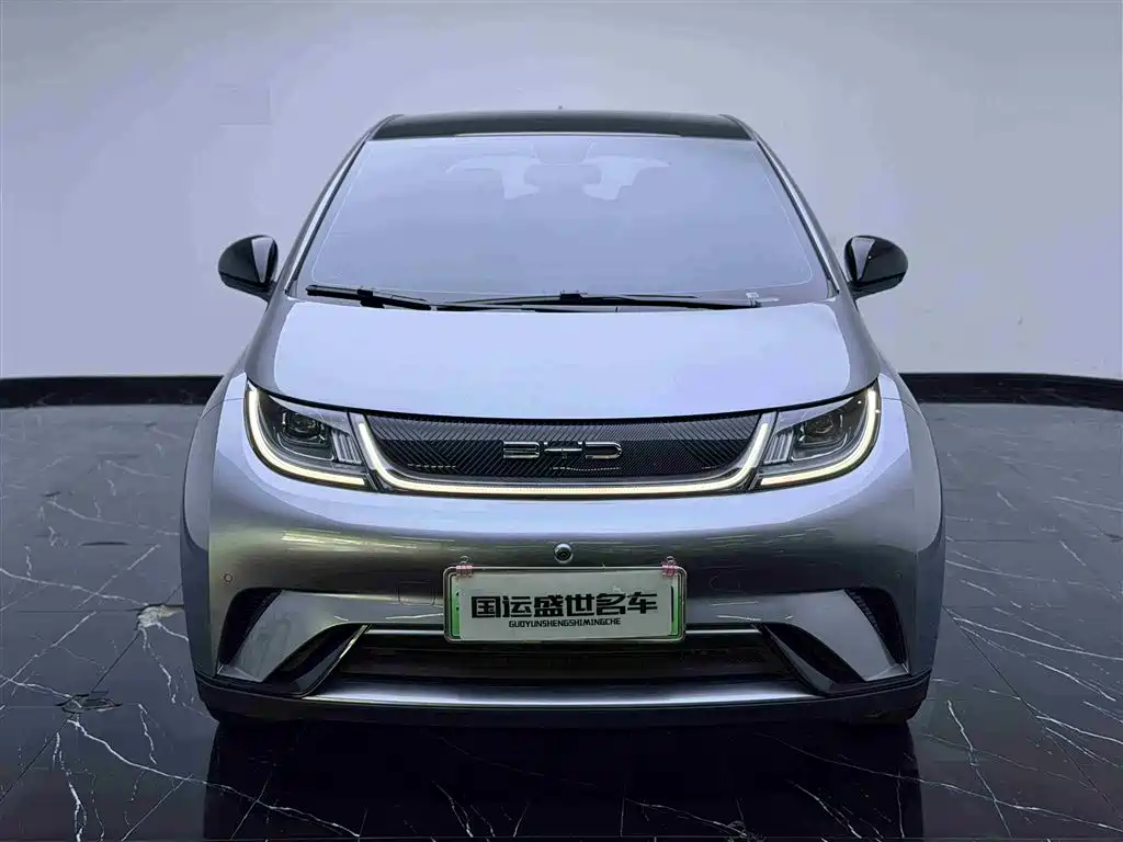 BYD Dolphin 2023 420km Fashion Edition фото 2