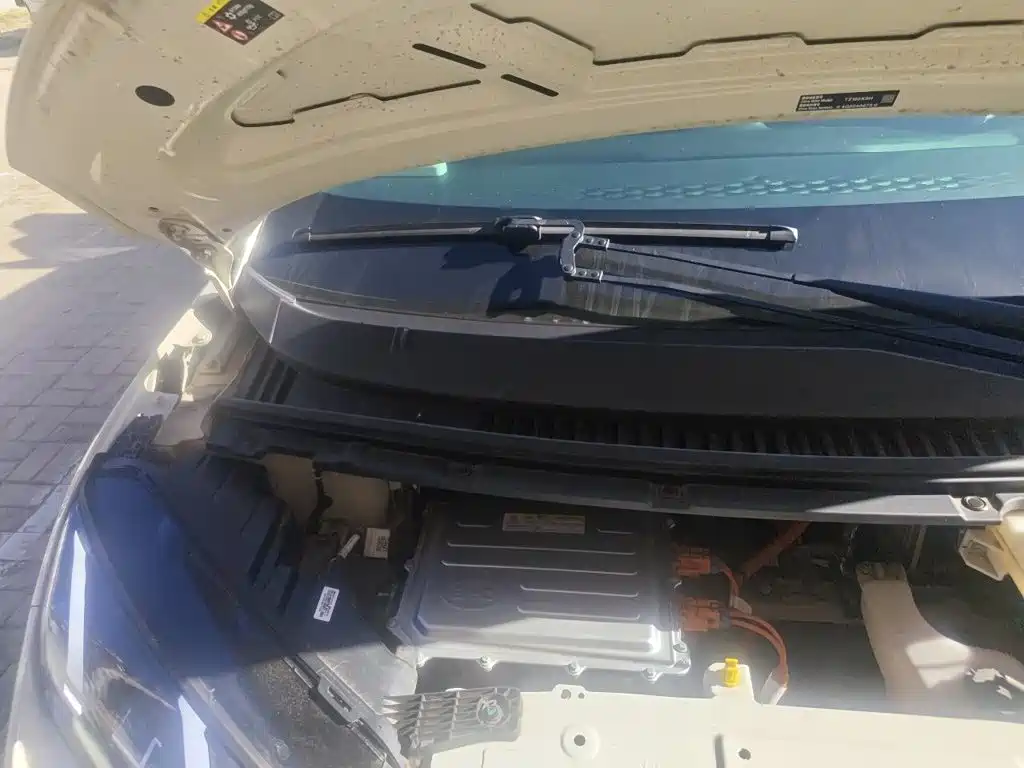 BYD Seagull 2026 2025 Smart Drive Edition 305km Freedom Version