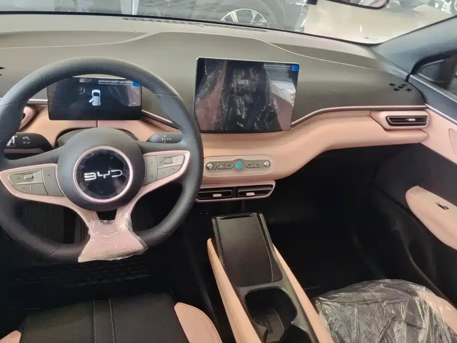 BYD Seagull 2026 2025 Smart Drive Edition 305km Vitality Version