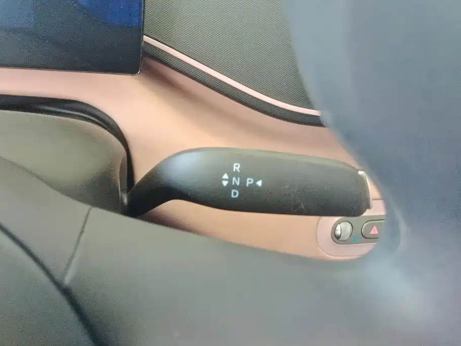 BYD Seagull 2026 2025 Smart Drive Edition 305km Vitality Version