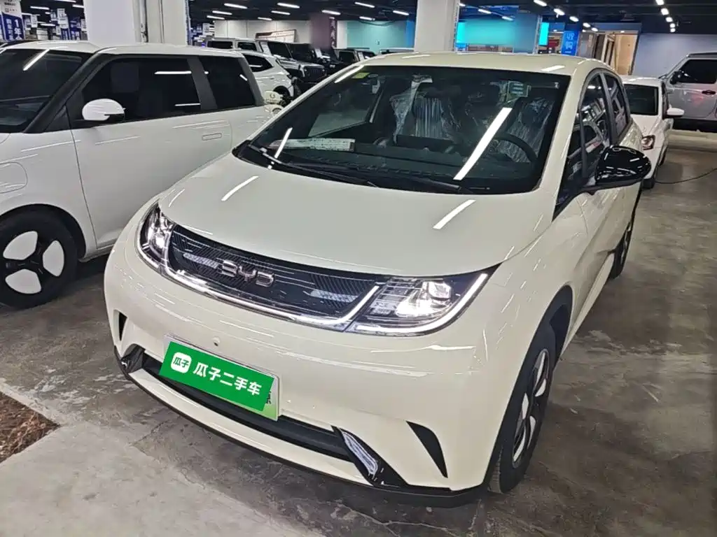 2026 BYD Dolphin