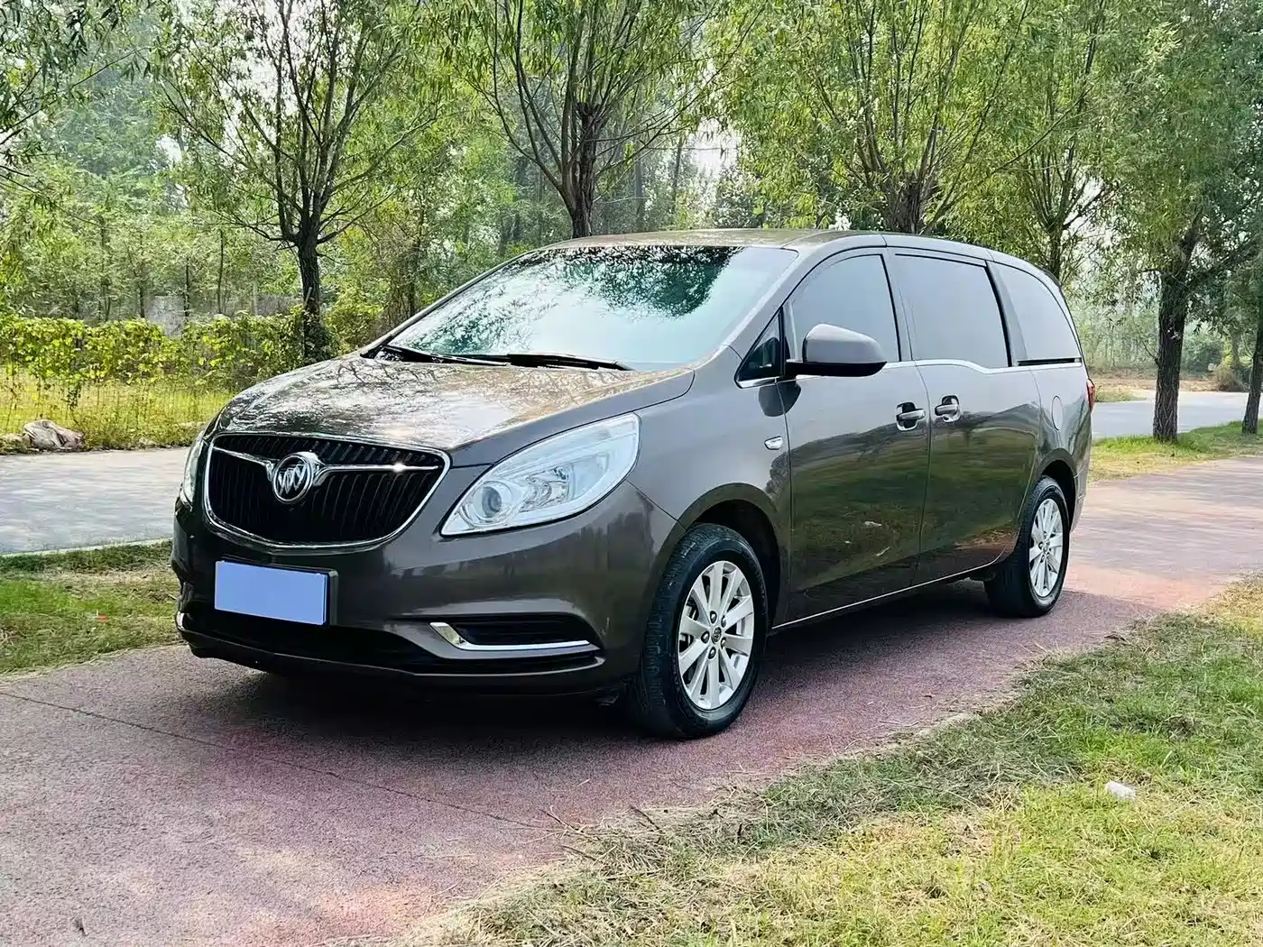 Buick GL8 2017 25S Comfort China V