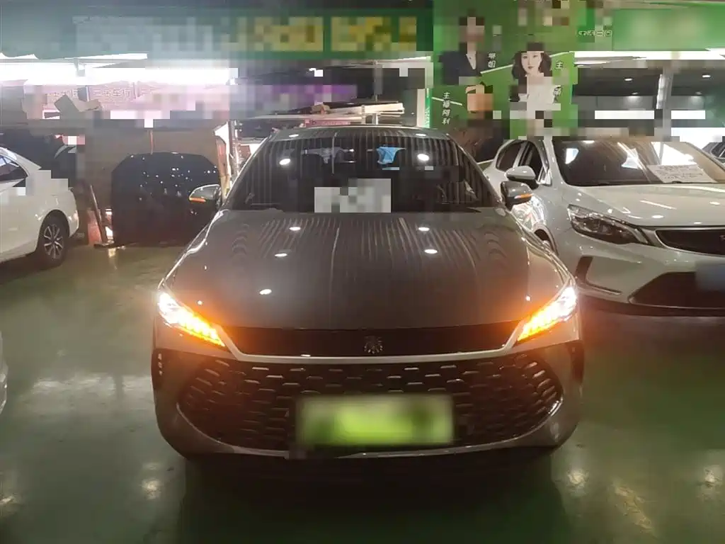 BYD Qin PLUS 2025 DM-i Smart Drive 55KM Leader фото 3