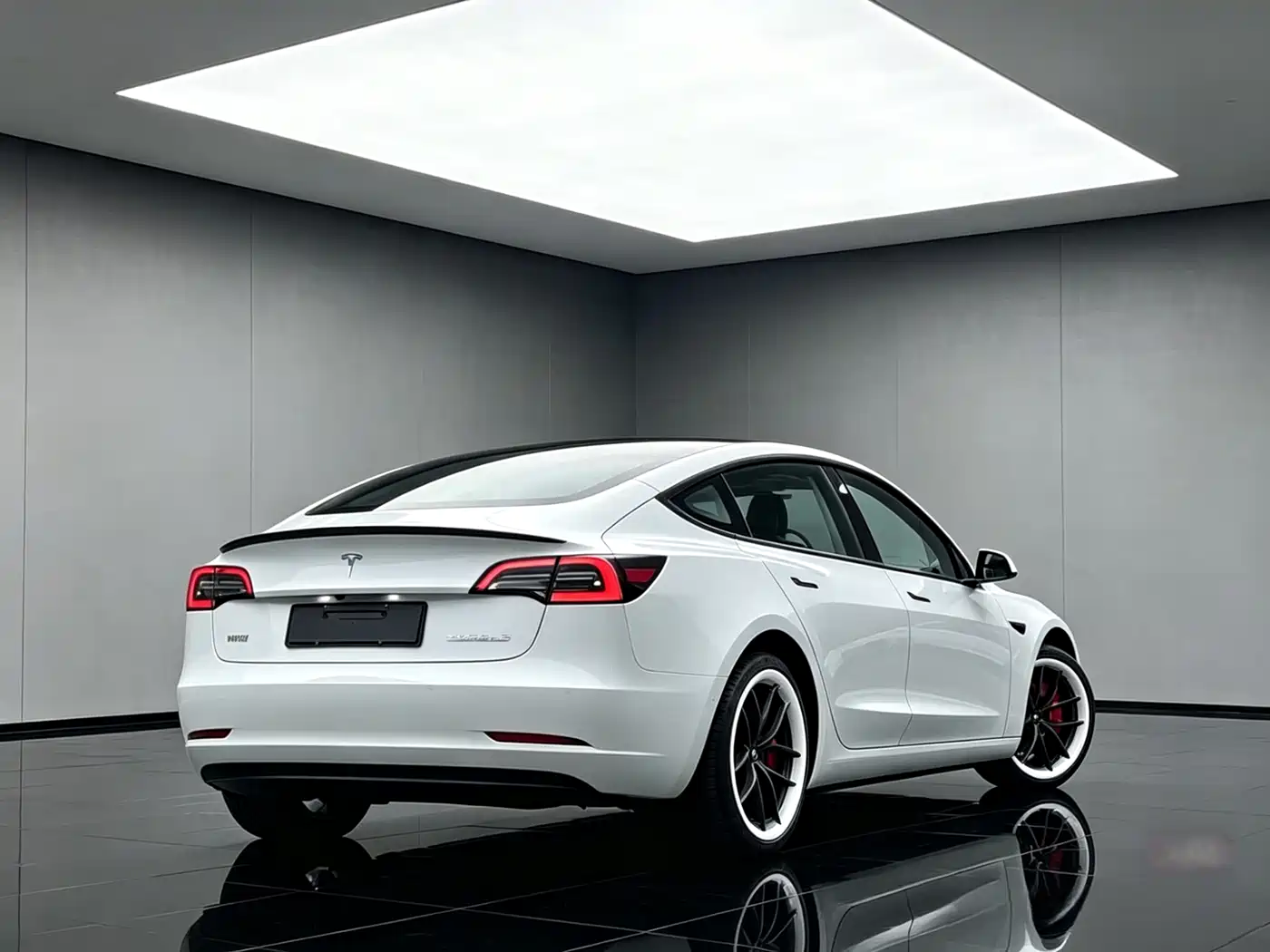 Tesla Model 3 2022 Performance High-Performance AWD фото 10