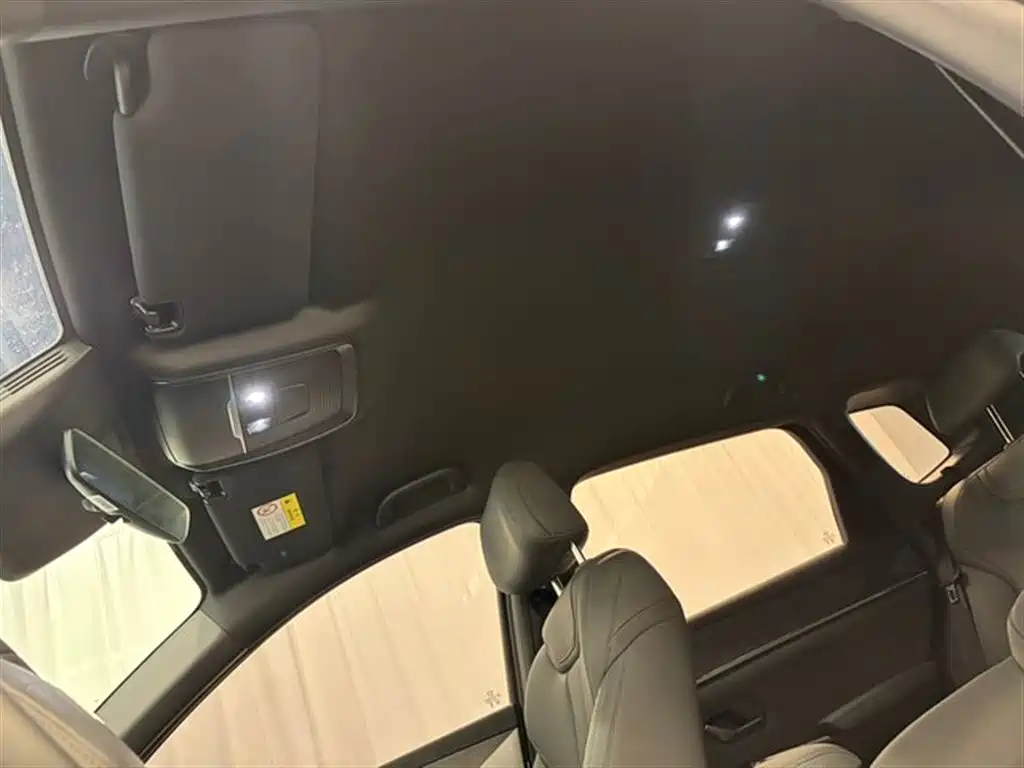 BYD Song Pro New Energy 2025 2nd Generation Smart Drive Edition DM-i 75KM Leading Type фото 14