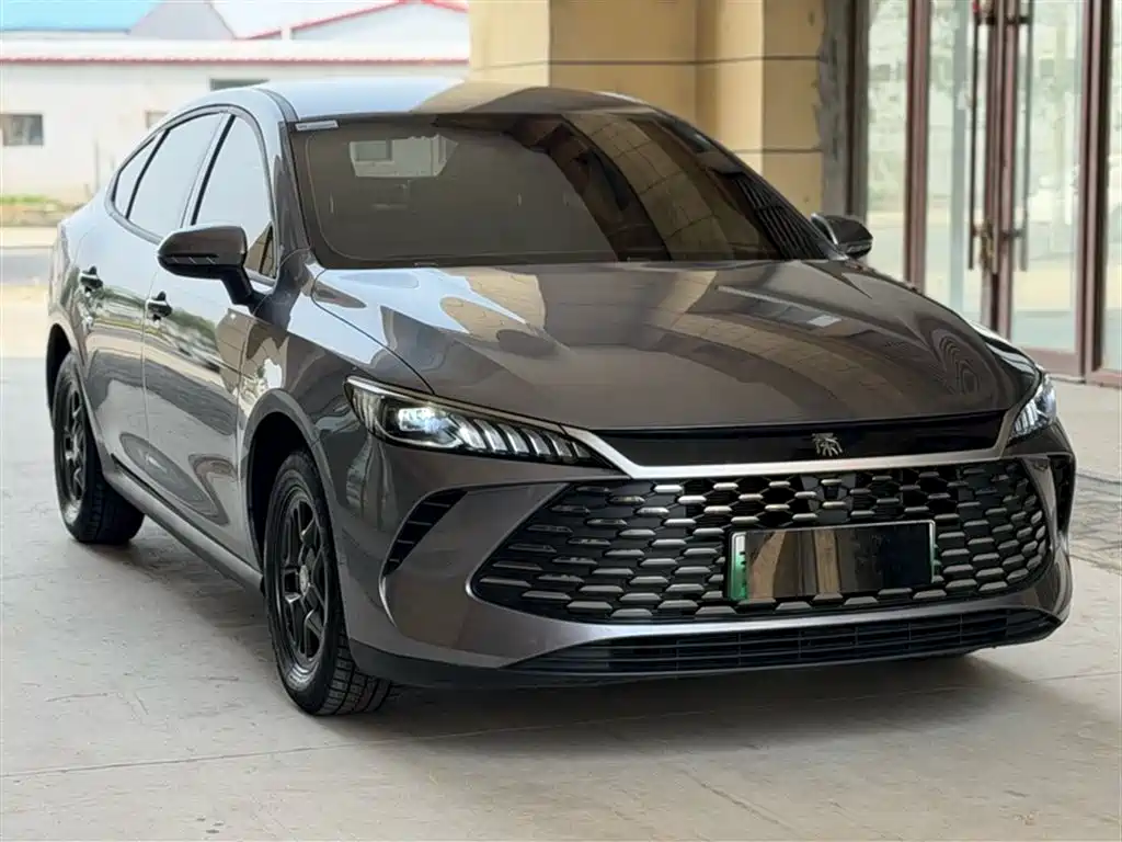 BYD Qin PLUS 2025 DM-i Smart Drive 55KM Leader фото 7