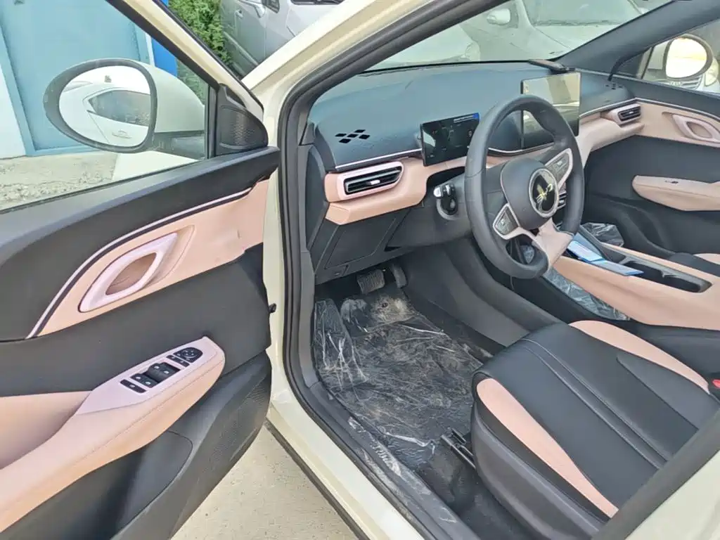 BYD Seagull 2026 2025 Smart Drive Edition 305km Vitality Version